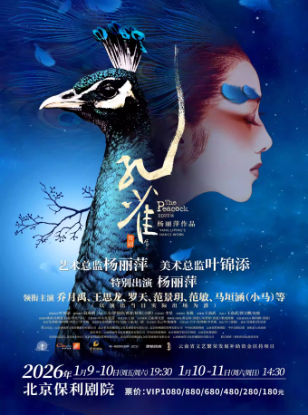 杨丽萍作品 2022版舞剧《孔雀》